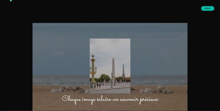 portfolio Mizi Studio